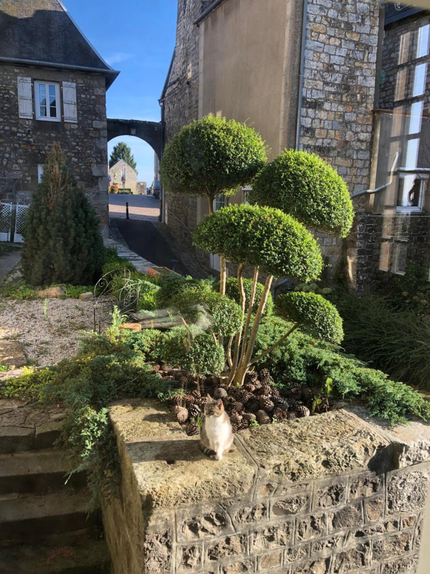 La Maison Sur Les Remparts Domfront  Dış mekan fotoğraf